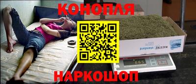 СК Можга
