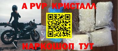 СК Можга